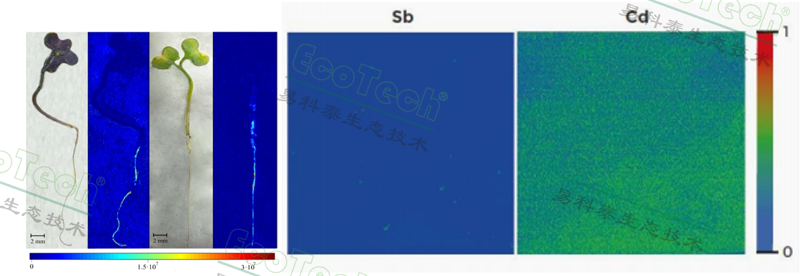 银娱优越会·GEG(中国)股份有限公司