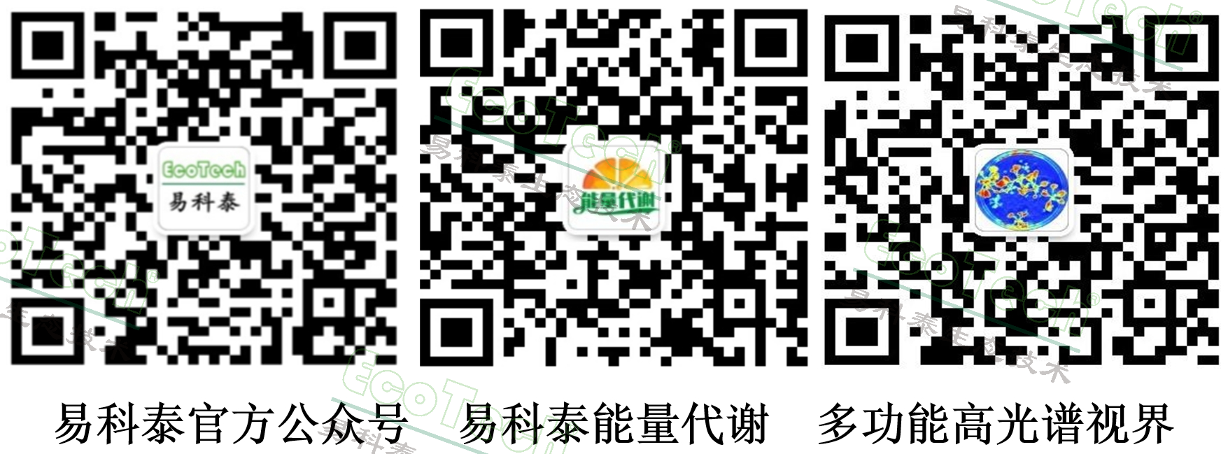 银娱优越会·GEG(中国)股份有限公司