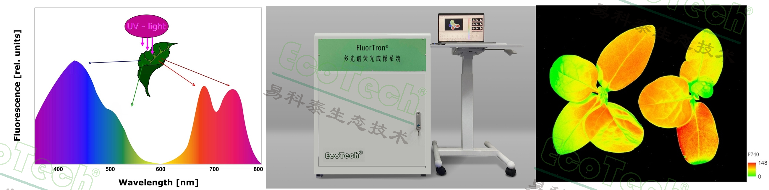 银娱优越会·GEG(中国)股份有限公司