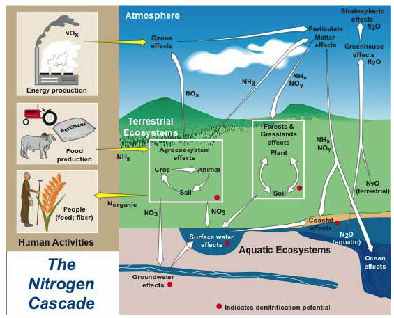 EcoTron氮沉降在线视察系统
